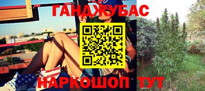 стафф Лесосибирск