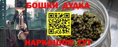 стафф Лесосибирск