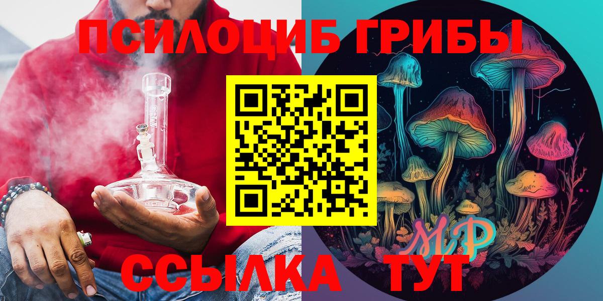 Псилоцибиновые грибы Psilocybe  Галлюциногенные грибы мицелий  Вход с VPN  Шатура 