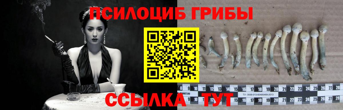 Галлюциногенные грибы ЛСД Шатура